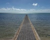 Dock Dock