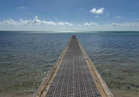 Dock Dock