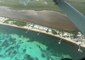 View from Plane View from Plane