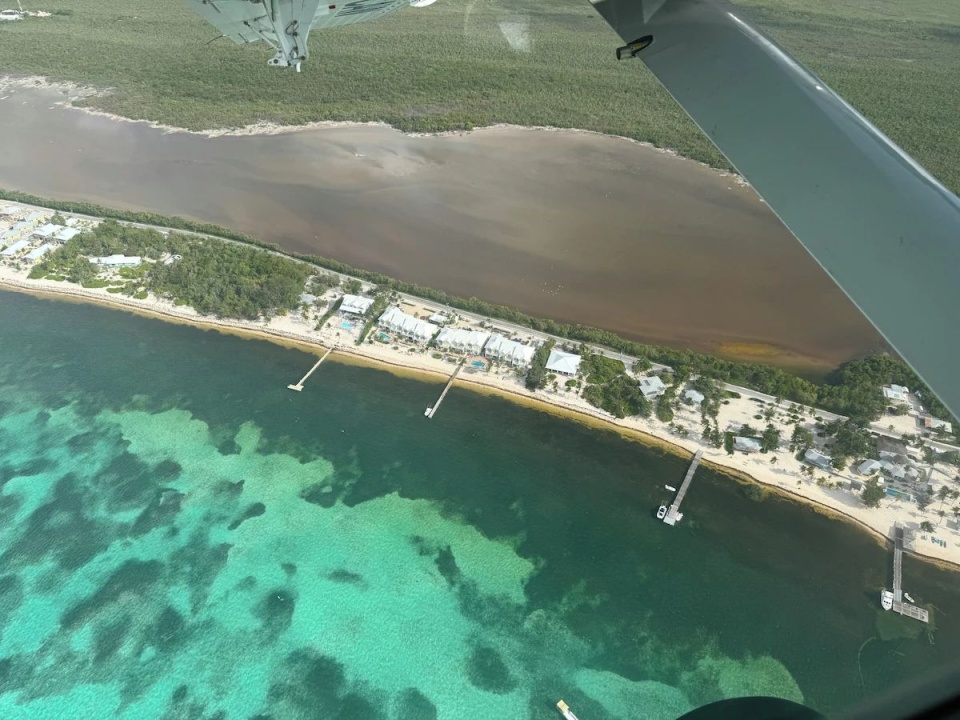 View from Plane