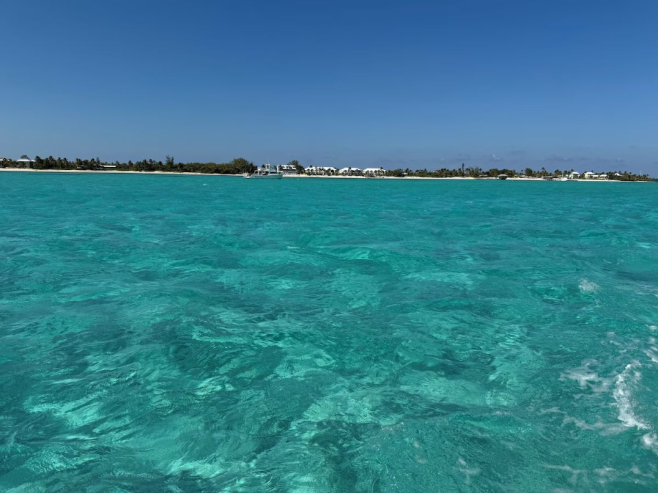 View of Condos from Near Owen Island